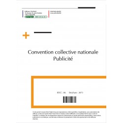 Convention collective nationale publicité + Grille de Salaire