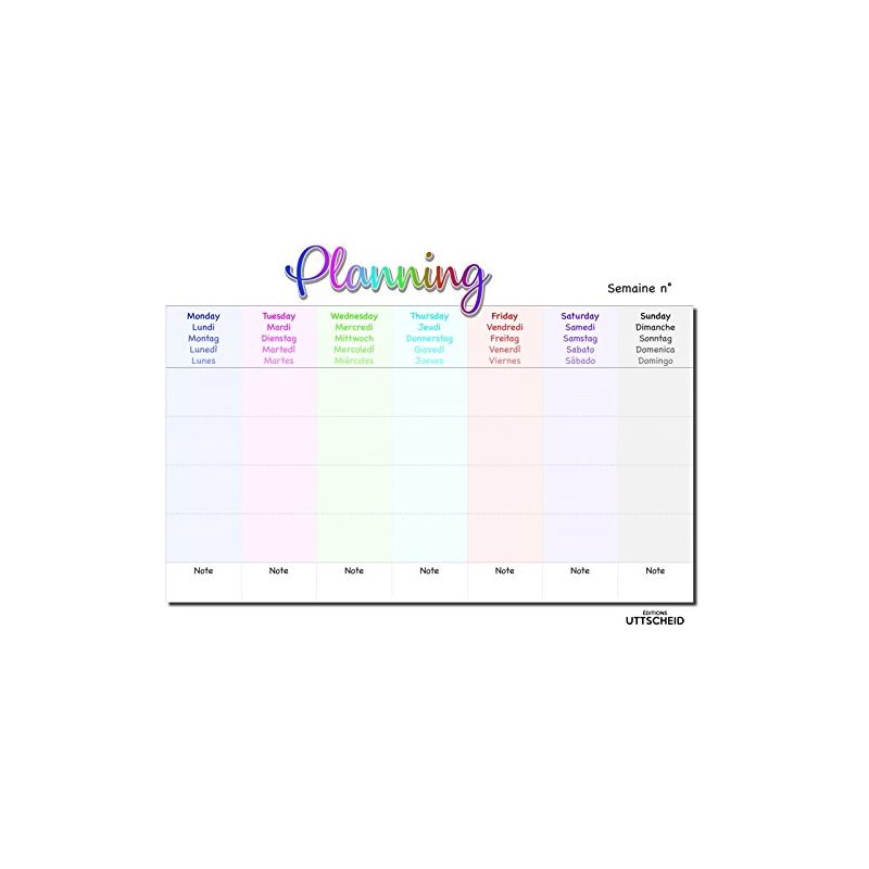 Planning d'organisation des congés - juin 2018 à mai 2019 - Plastifié et effaçable. Feutre fourni - format A2 ( 59.6 x 42.2 cm)