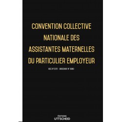 Convention collective du secteur des particuliers employeurs et de l’emploi à domicile -